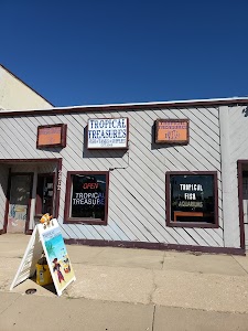 Tropical Treasures LLC place picture